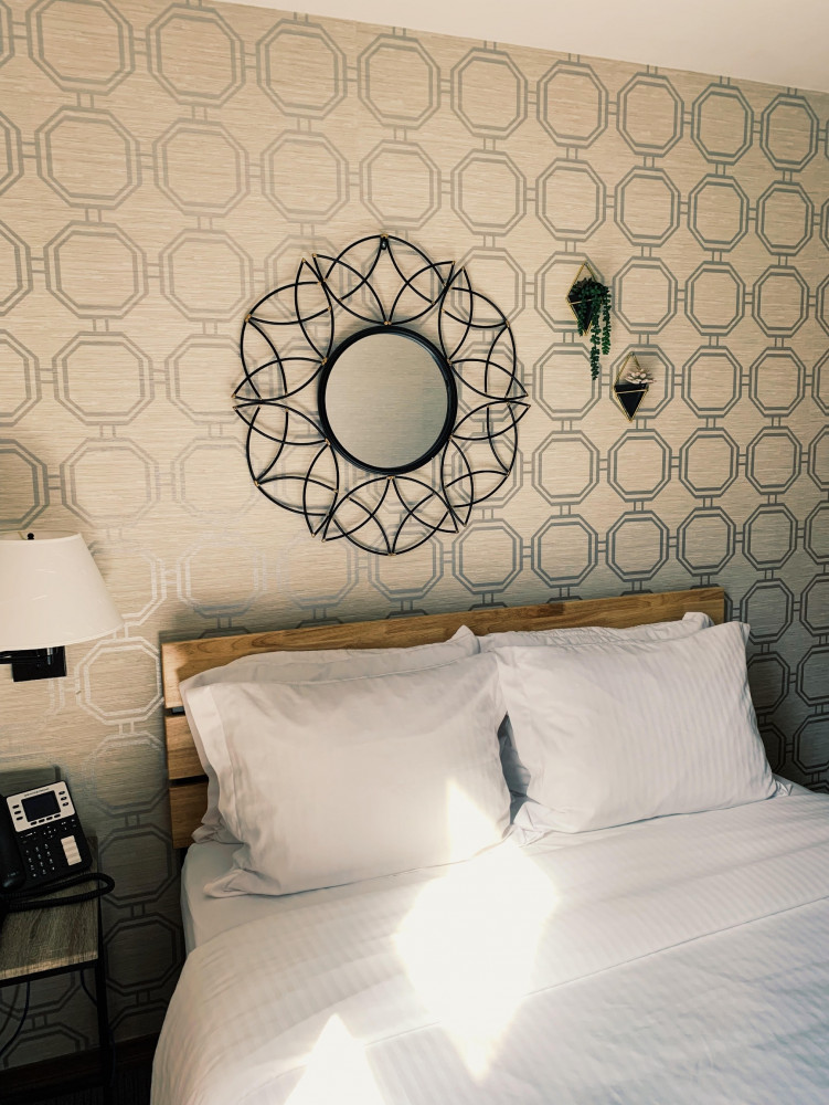 Hotel Mimosa — photo 15 of 48