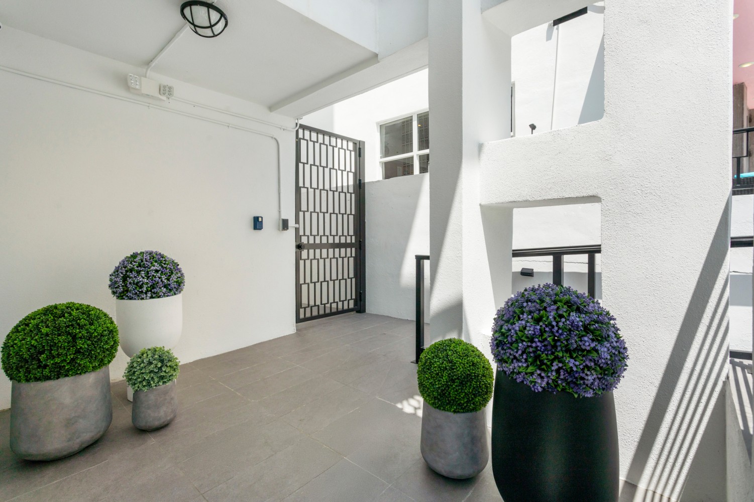 A small outdoor area with white walls, a gate, and potted plants.