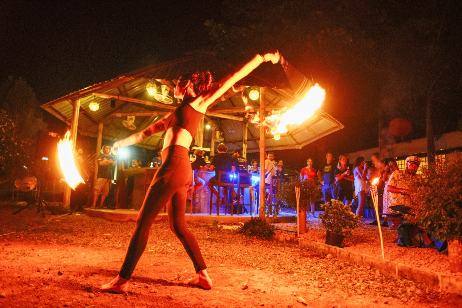 Evening at Jungle Hostel
