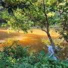 Sitio Belucci