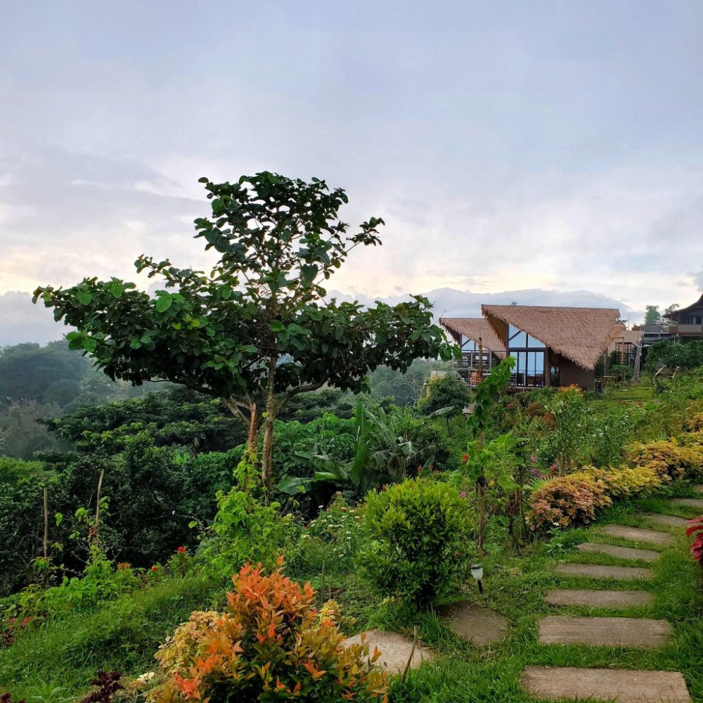 Farm Ridge by Desmond Farm - Pantabangan, Philippines - Best Price ...