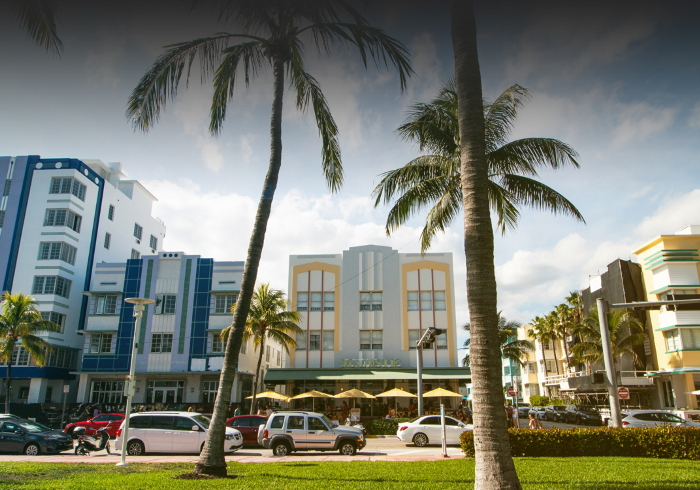 A street scene with palm trees and buildings.
