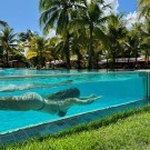 Pousada Priv&ecirc; Pontal de Maraca&iacute;pe