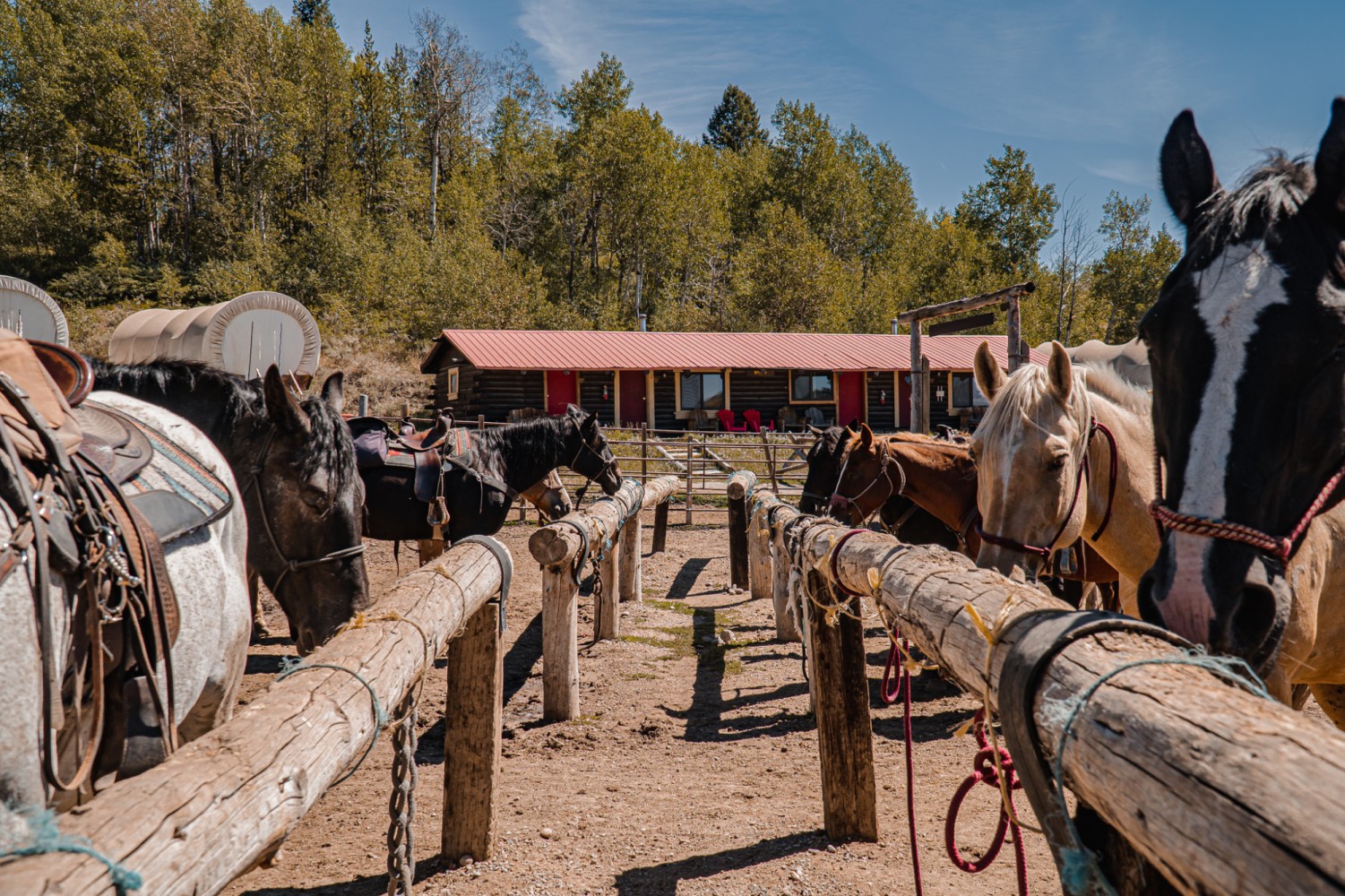 Heart Six Ranch - Moran, United States of America - Best Price Guarantee